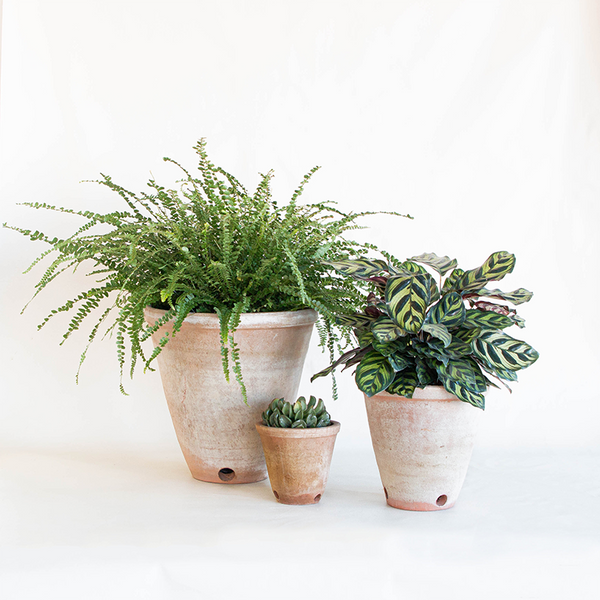 victorian style plant pots Aged Victorian Planter