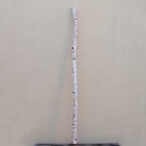 Birch Pole 6'