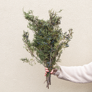 Blue Berried Cedar Bunch