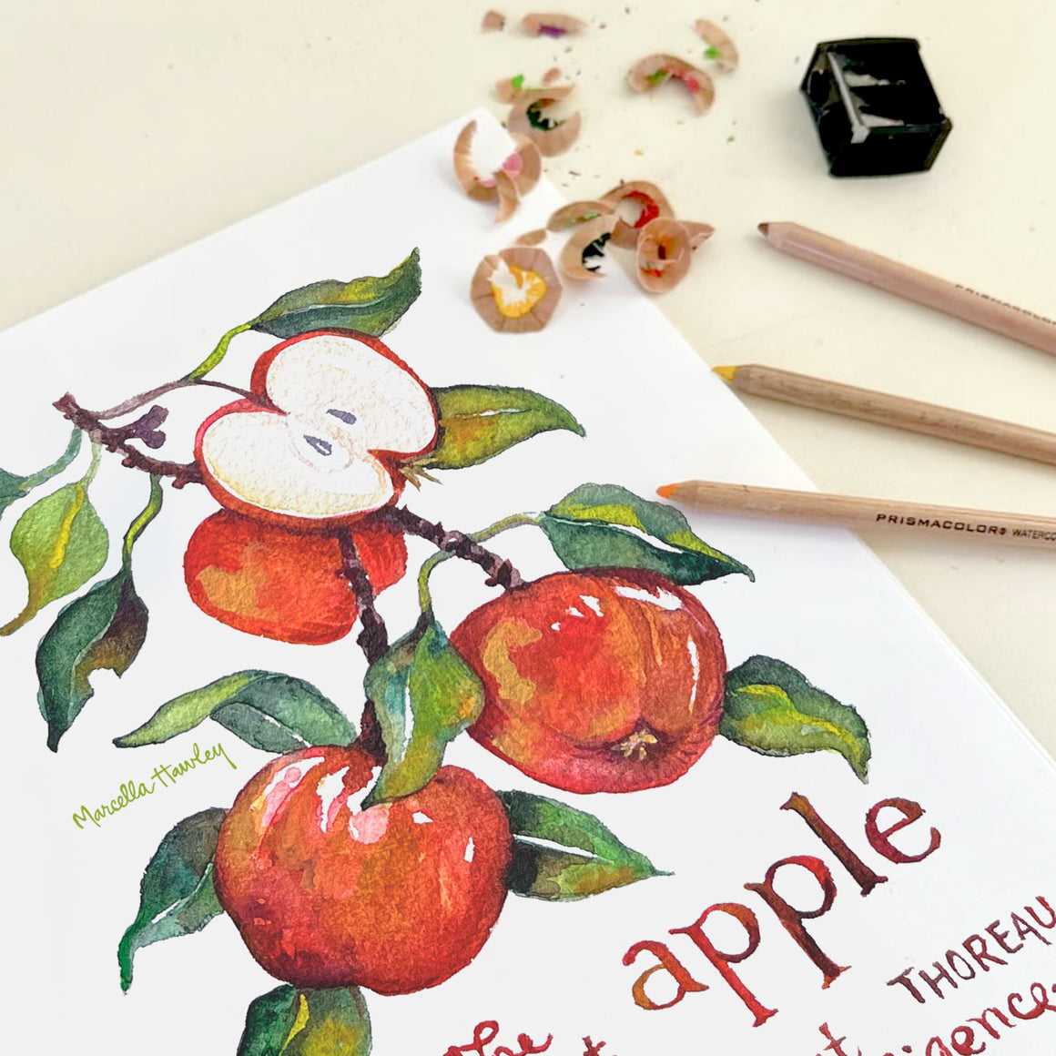 Folklore Apple Coloring