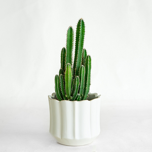 Cactus Fairy Castle 3.5"