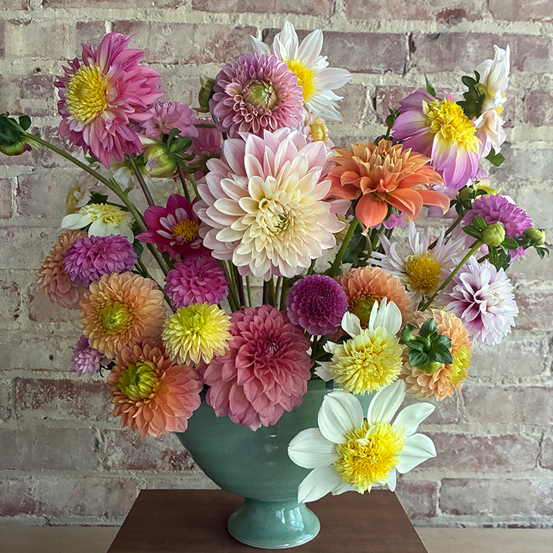 Flowers In Clay Pop-up & Dahlia Sale