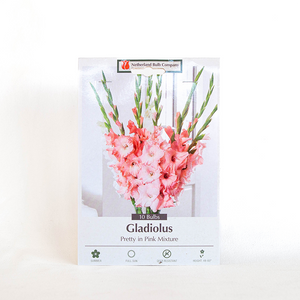 Gladiolus 'Pretty in Pink Mix' Pk/10