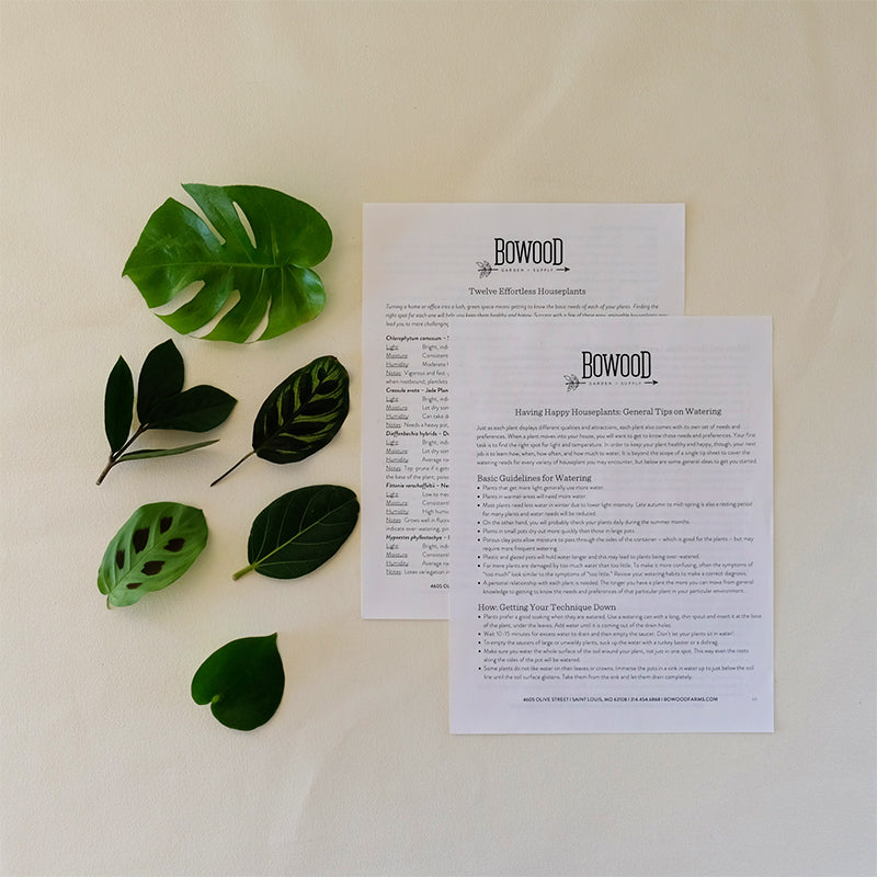 Private House Plant Care - Kirkwood Garden Club Tuesday 8/4/26