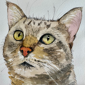 Paint Your Pet