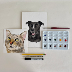 Paint Your Pet