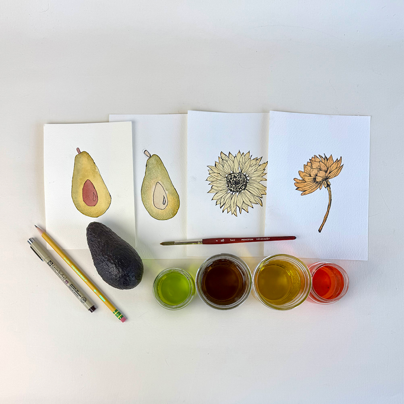 Natural Pigment Illustration