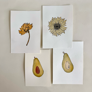 Natural Pigment Illustration