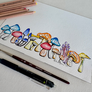 Wild Mushrooms Illustrations