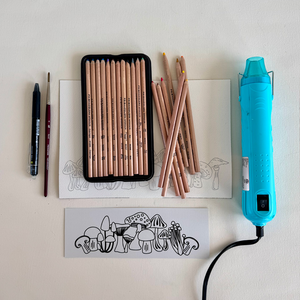 Wild Mushrooms Illustrations