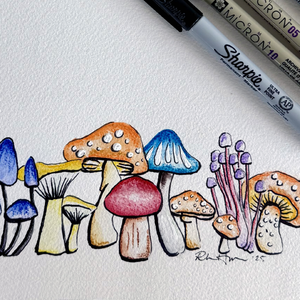 Wild Mushrooms Illustrations