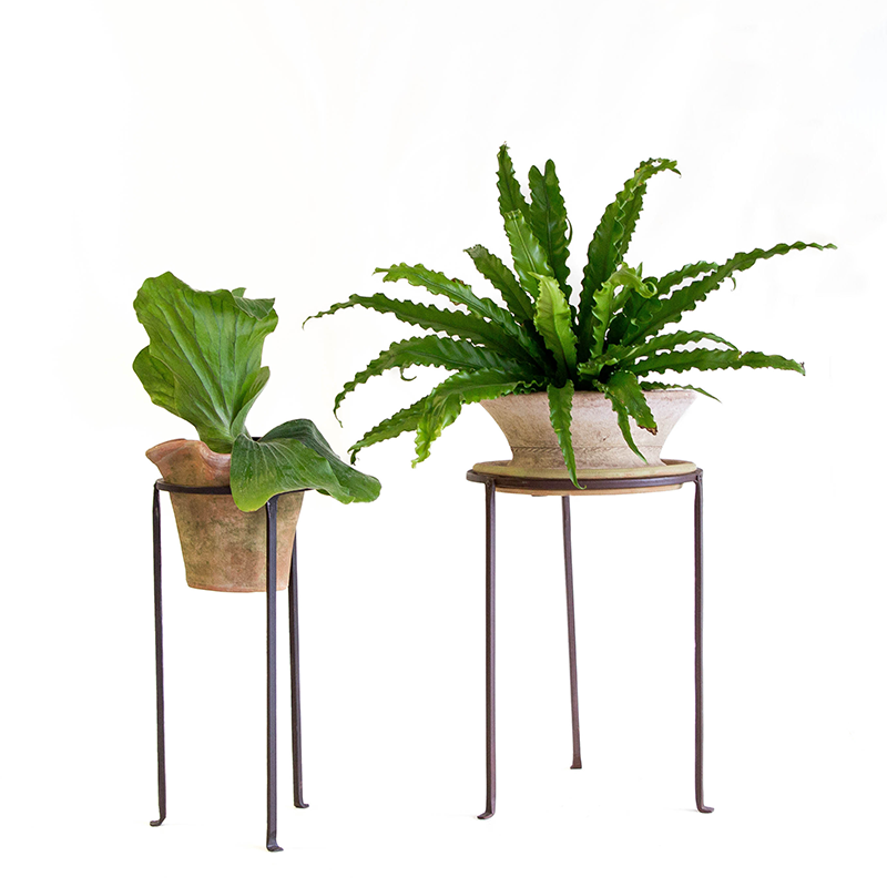 Iron Low Plant Stand