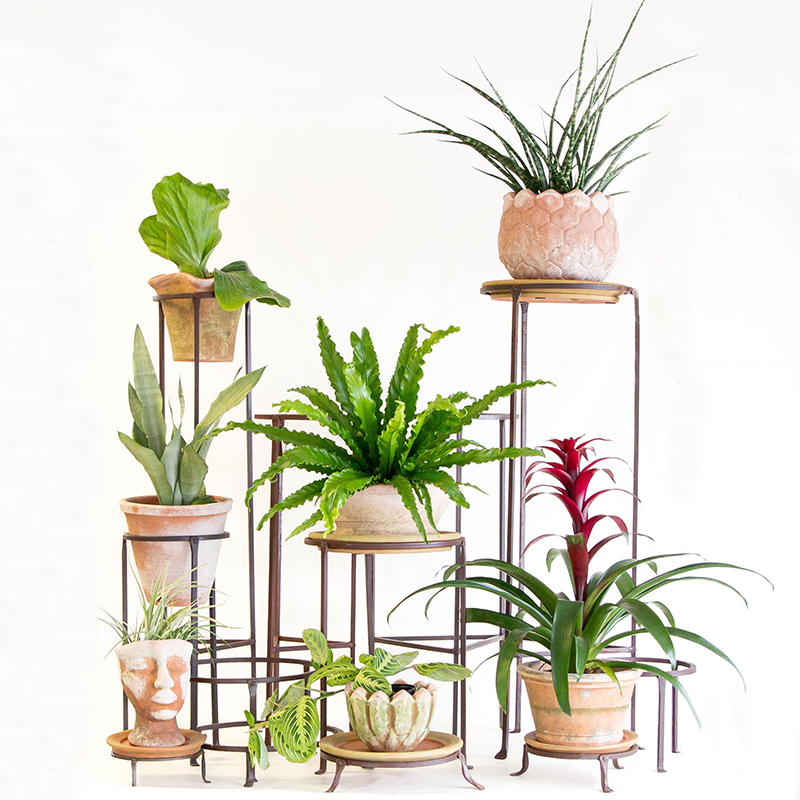 indoor planter stands Iron Short Plant Stand
