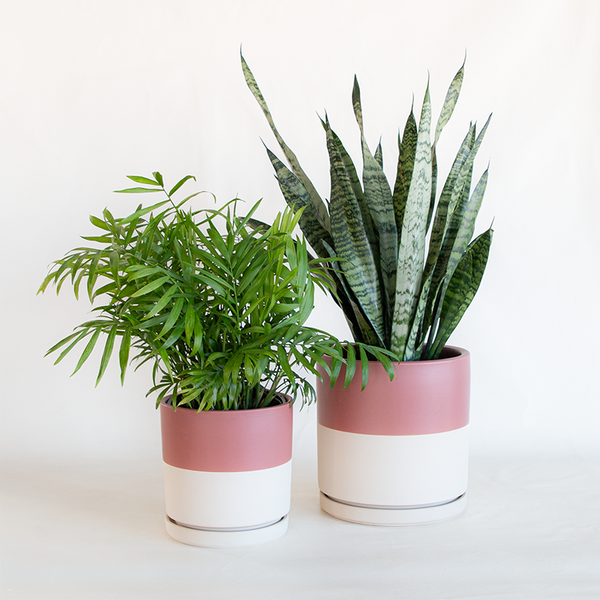 half planter pot Gemstone Cylinder Planter Half Dusty Rose
