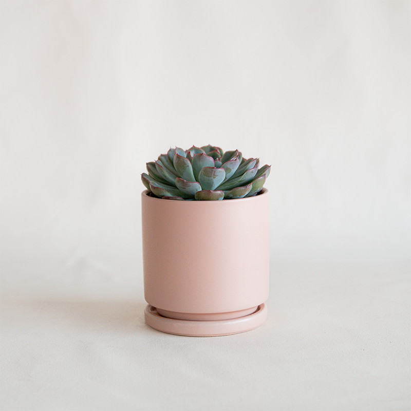 blush plant pot Gemstone Cylinder Planter Blush