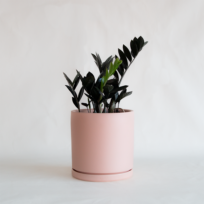 blush plant pot Gemstone Cylinder Planter Blush