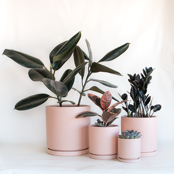 blush plant pot Gemstone Cylinder Planter Blush