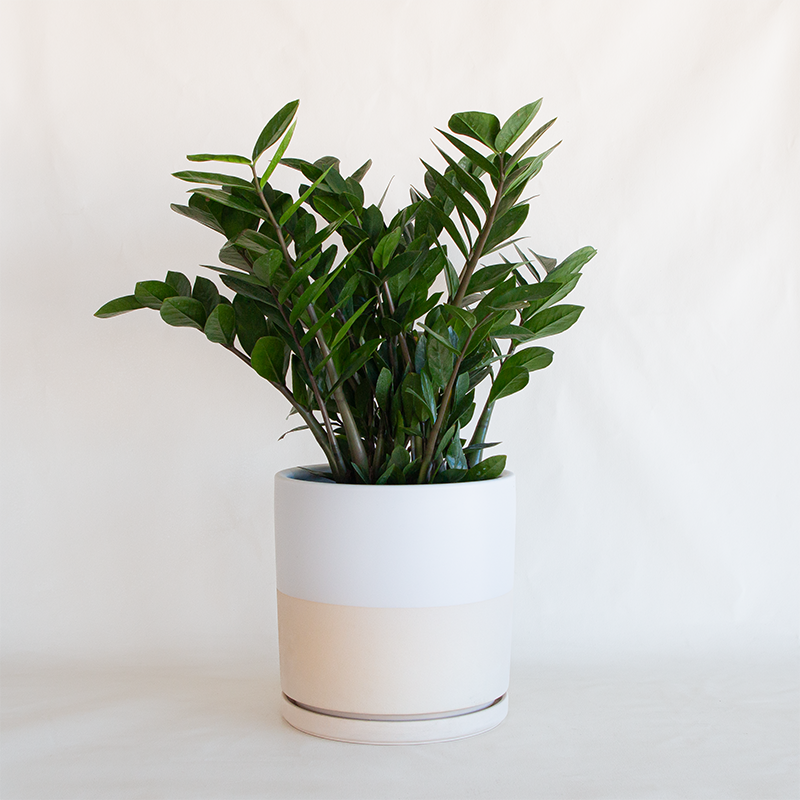 Gemstone Cylinder Planter Half White