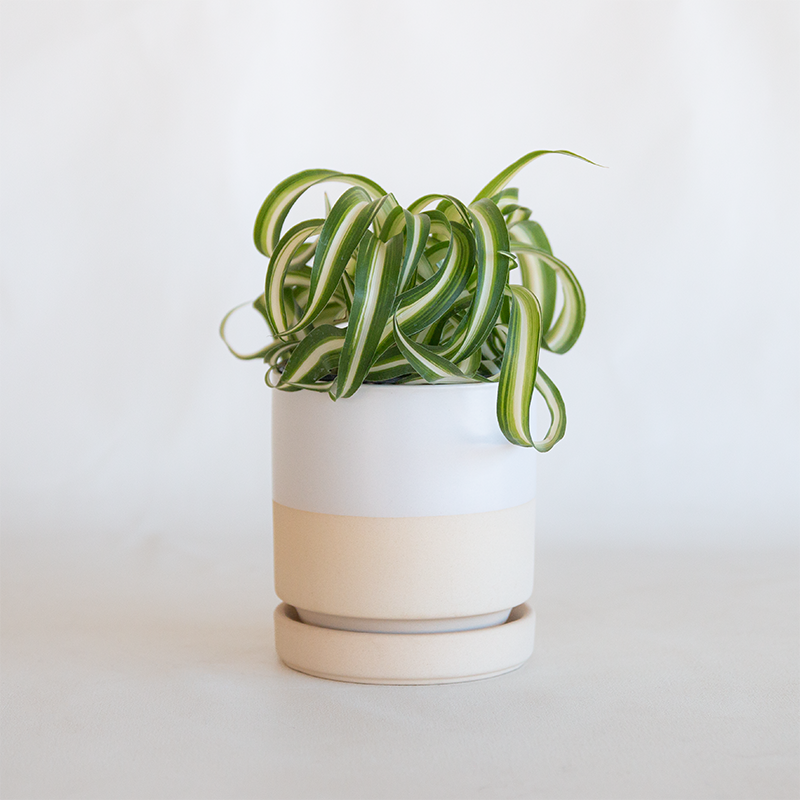 half plant pots Gemstone Cylinder Planter Half White