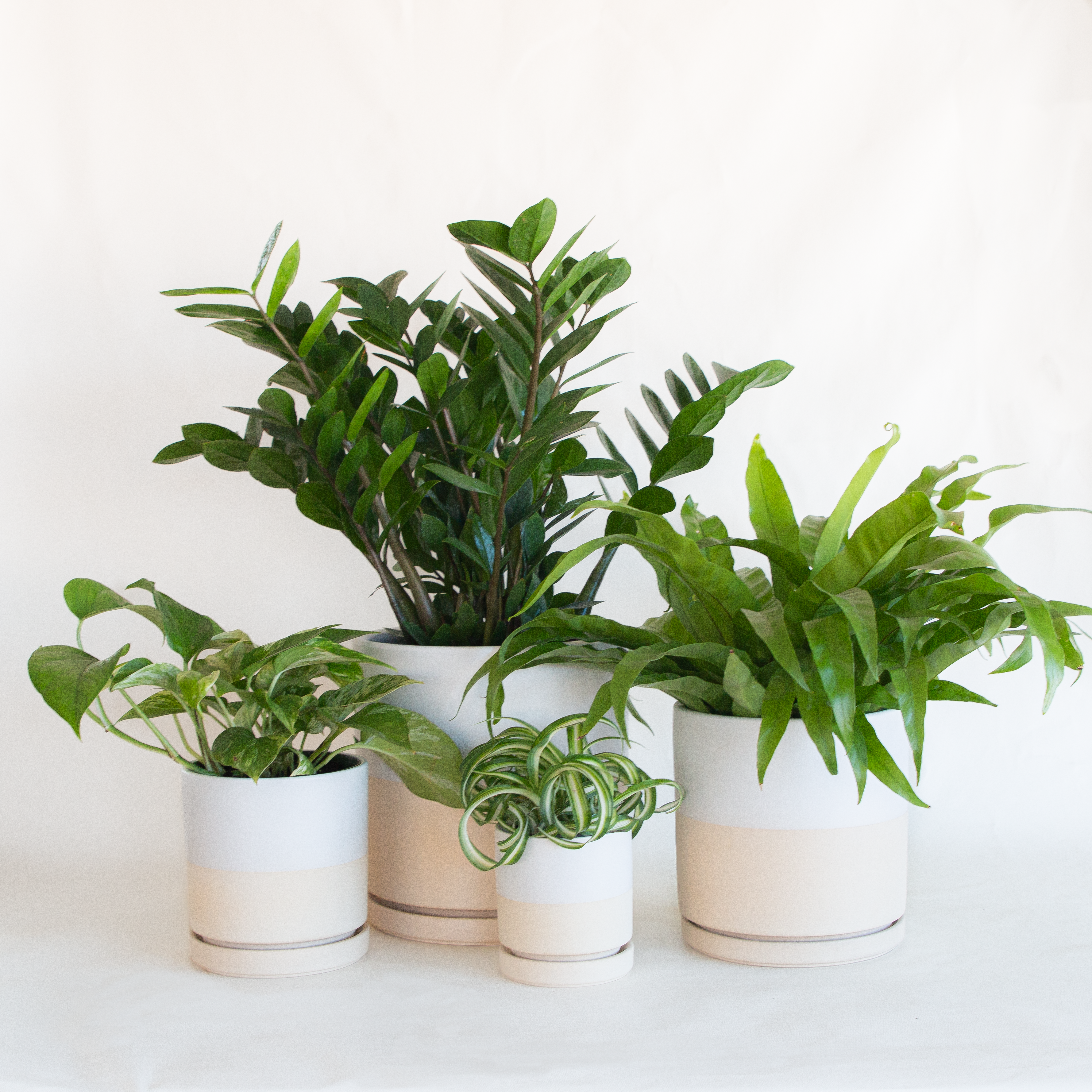 Gemstone Cylinder Planter Half White - Bowood Farms