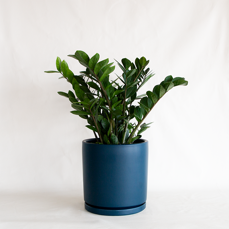 Gemstone Cylinder Planter Midnight Blue - Bowood Farms Gemstone Cylinder Planter Midnight Blue - Bowood Farms