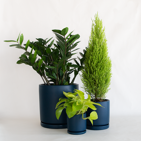 Gemstone Cylinder Planter Midnight Blue - Bowood Farms
