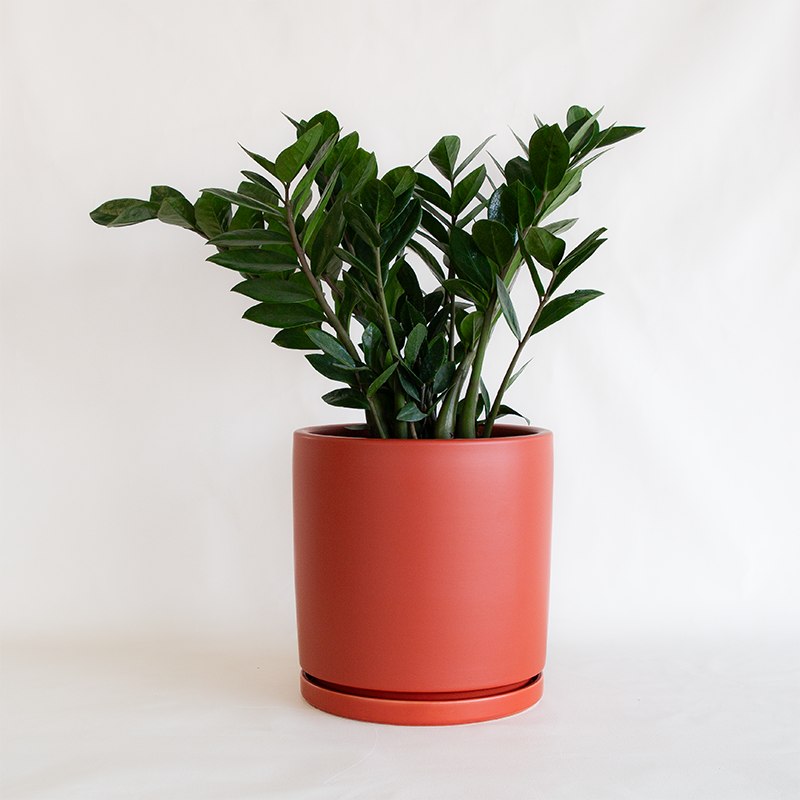 plant pot rotator Gemstone Cylinder Planter Rust