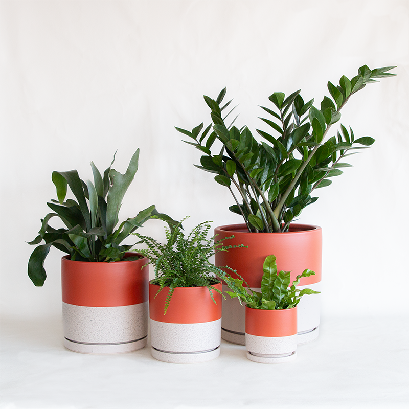 Gemstone Cylinder Planter Rust/White Sesame