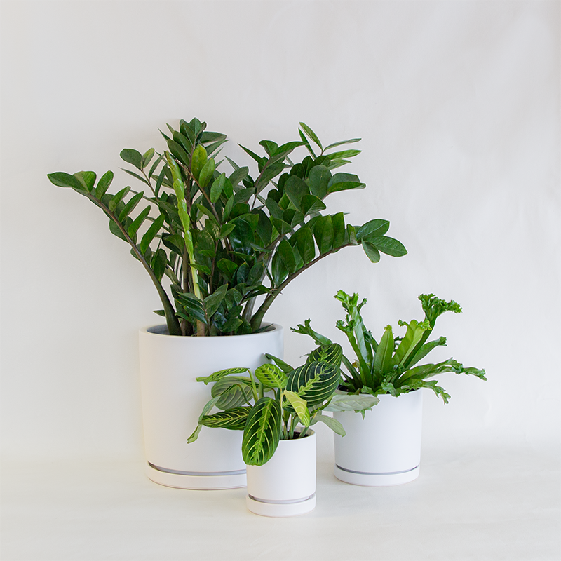 Gemstone Cylinder Planter White