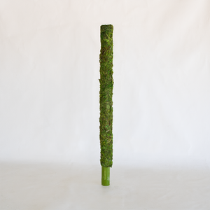 moss pole tall Moss Pole 24"