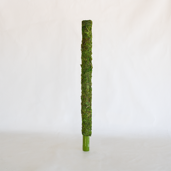 flat moss pole Moss Pole 24"