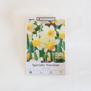 Narcissus 'Eaton Song' Bulb PK/6