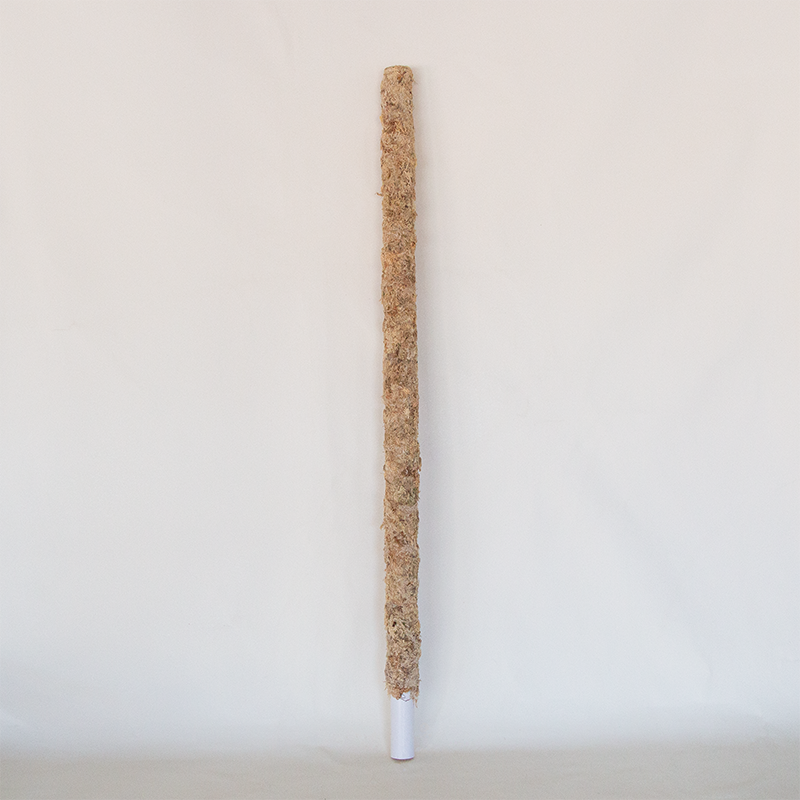 sphagnum moss pole for sale Sphagnum Moss Pole 36"
