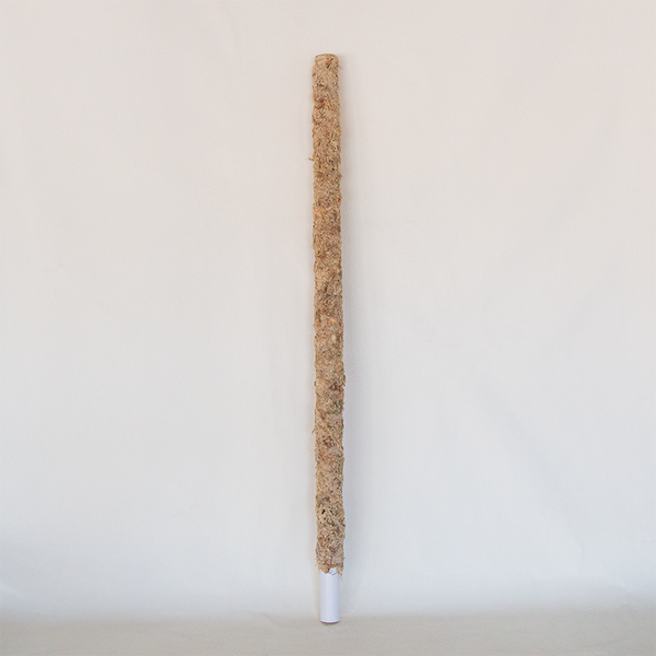 moss pole diameter Sphagnum Moss Pole 36