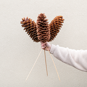 Sugar Pinecone on Stem