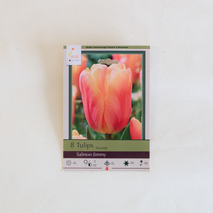 Tulip 'Salmon Jimmy' Bulb Pk/8