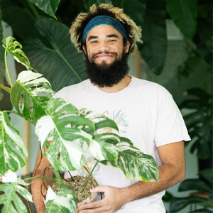 Artist Tyler Thrasher Glowing Pop-up Event