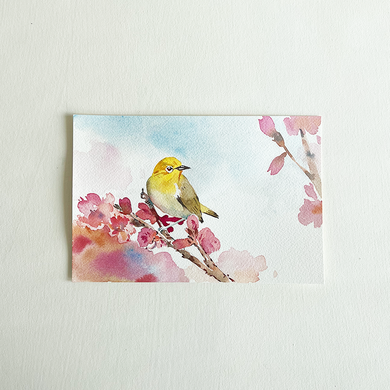 Watercolor Bird & Blooms