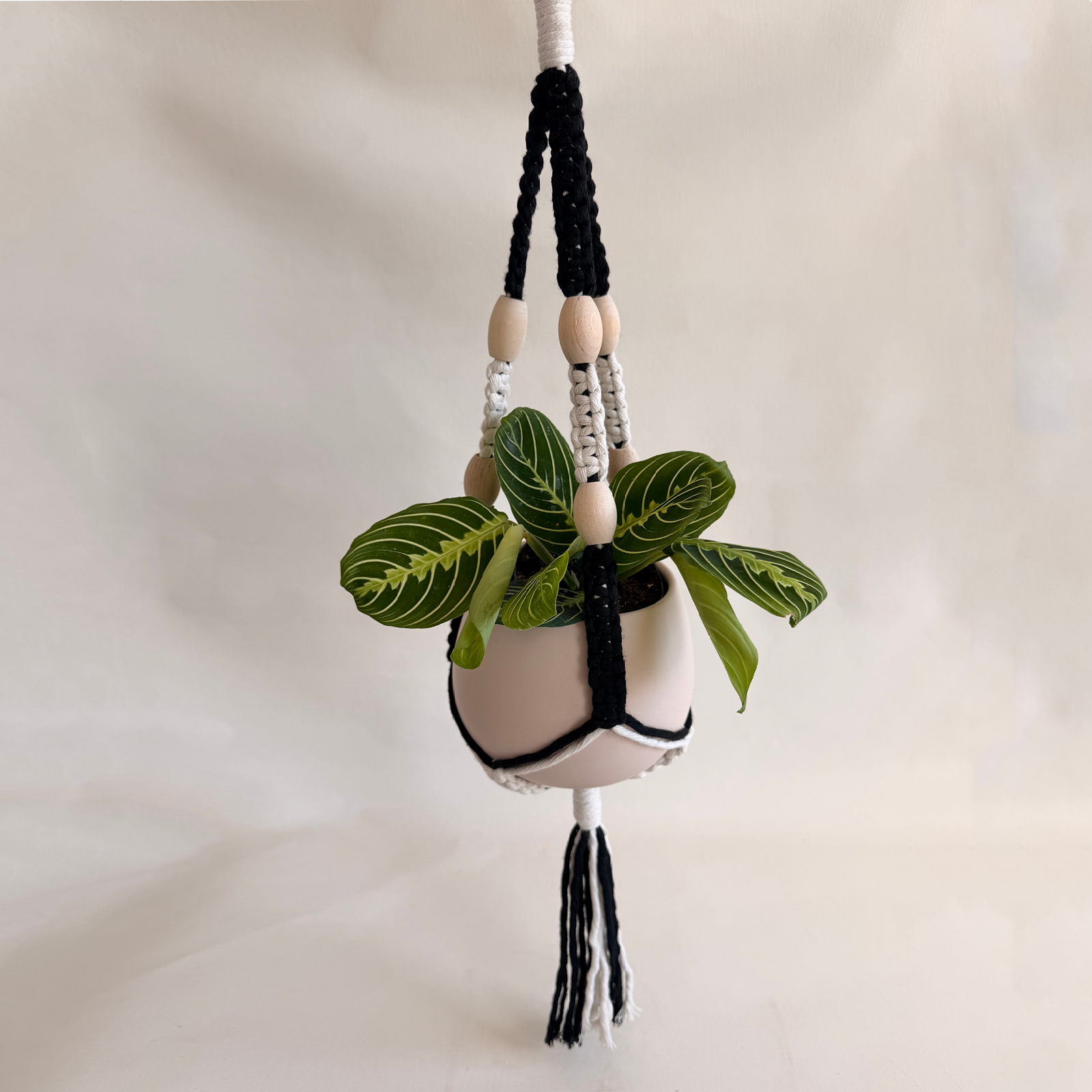 Multicolor Macramé Plant Holder