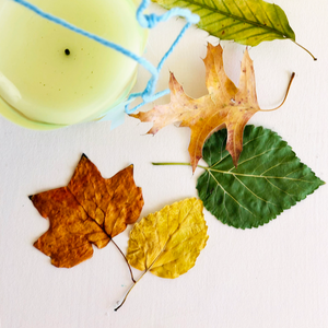 Budding Artists: Nature Lanterns