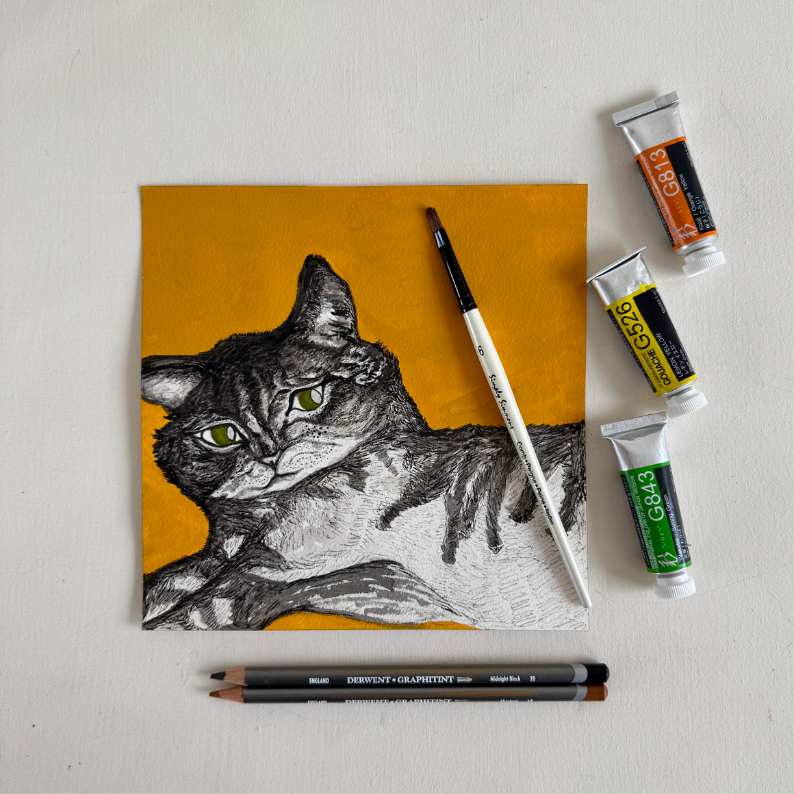Introduction to Drawing Cats