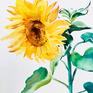 Watercolor Sunflowers