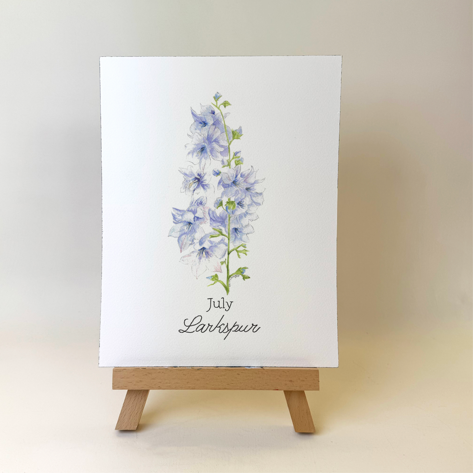 Watercolor Larkspur