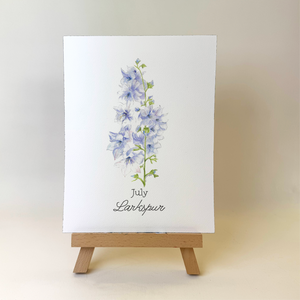 Watercolor Larkspur