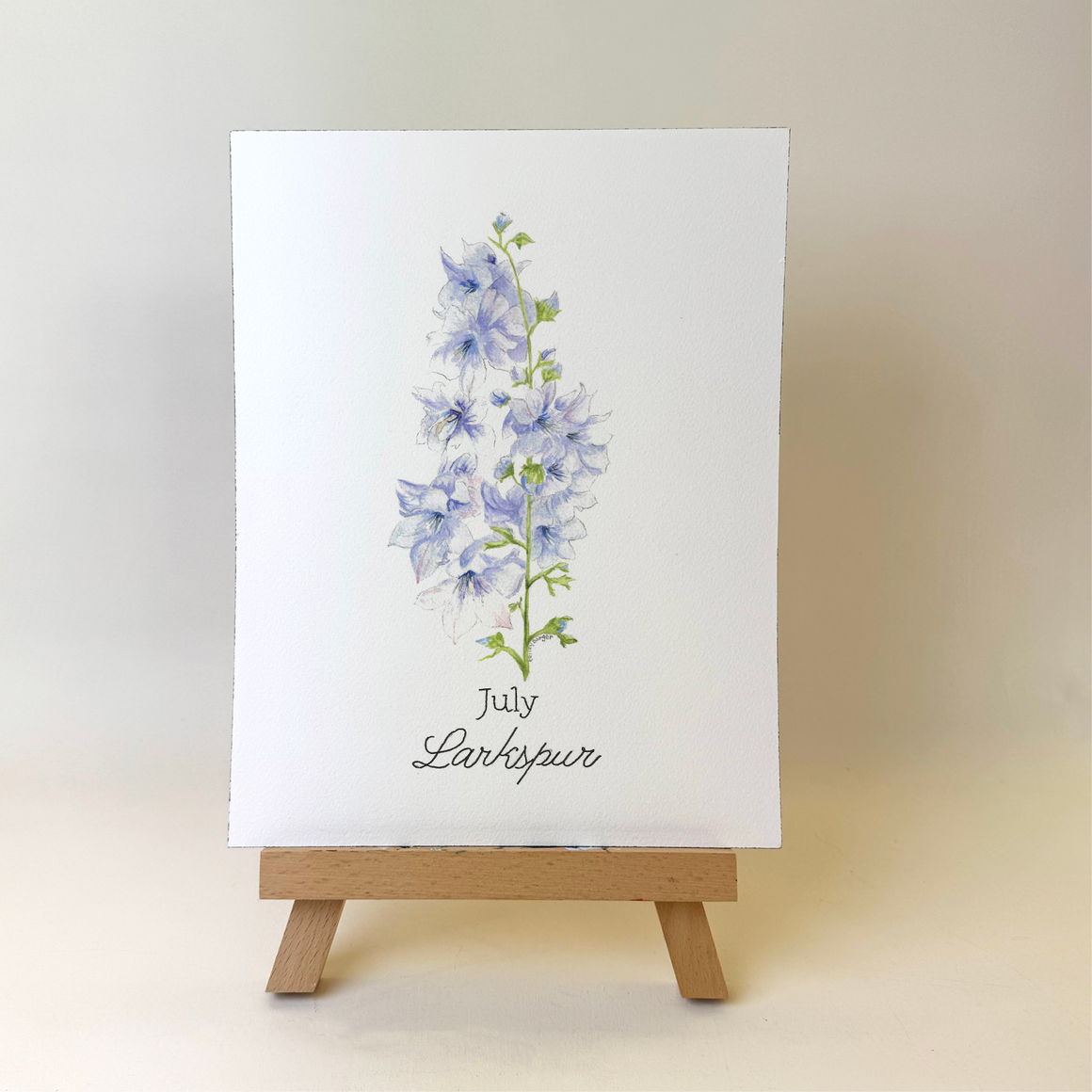 Watercolor Larkspur