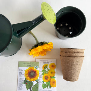 Sunflower Seed Exploration for Young Gardeners
