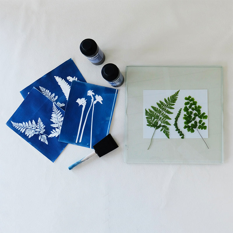 Cyanotype Printmaking