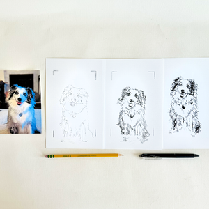 Draw Your Pet