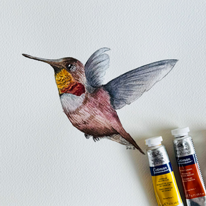 Watercolor Hummingbird