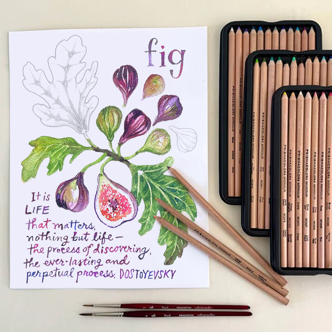 Festive Fig Coloring